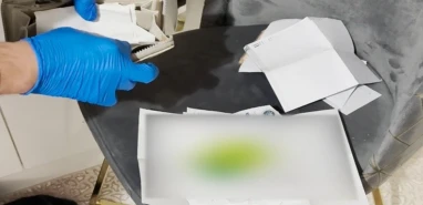 Sahte diploma ve ehliyet operasyonu! Çok sayıda tutuklama