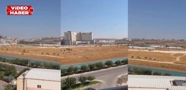 Şanlıurfa'da tartışmalı arsa için önce ağaçlar katledilmiş!