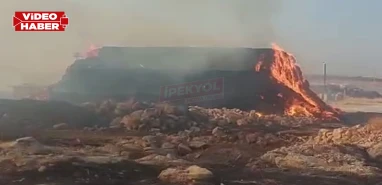 Şanlıurfa’da alevler saman balyalarını sardı! Tonlarca saman balyası kül oldu