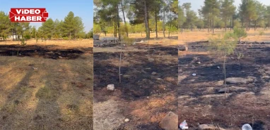 Yeşile hasret Şanlıurfa'da yürekleri ağza getiren yangın paniği!
