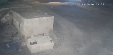 Şanlıurfa'da gece kabusu! Sırtlanlar kümesi bastı!