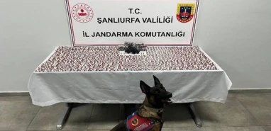 Şanlıurfa’da jandarmadan narkotik baskın! 2 gözaltı