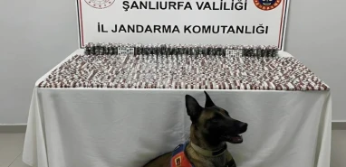 Şanlıurfa’da jandarmadan baskın! Çok sayıda gözaltı var