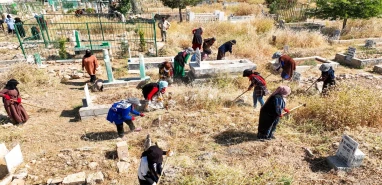 Harran’da sıcak havalarla birlikte harekete geçildi!