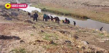 Şanlıurfa’da kan donduran olay: Kendini ağaca astı...
