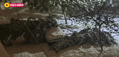 Şanlıurfa’da ağaç karın ağırlığına dayanamadı: Arabanın üzerine devrildi