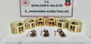 Şanlıurfa’da jandarma tuzakları bozdu! Keklikler kurtarıldı