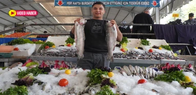 Soğuk hava balığı vurdu! Şanlıurfa’da fiyatlar ikiye katlandı