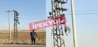 Şanlıurfa’da akıma kapılan elektrikçi direkte asılı kaldı! Hastaneye kaldırıldı