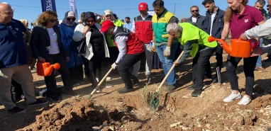 Şanlıurfa toprakla yeşeriyor! Binlerce fidan dikildi