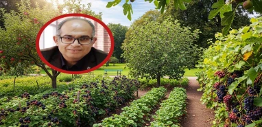 Şanlıurfa için öyle bir fikir attı ki ortaya... Şehir bunu konuşacak!