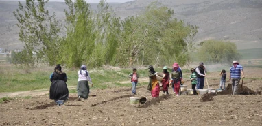 Şanlıurfalı işçilerin Erzincan'daki zorlu mesaisi!
