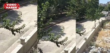 Şanlıurfa’da kazı bitti, toz toprak kaldı: Mahalle sakinleri mağdur