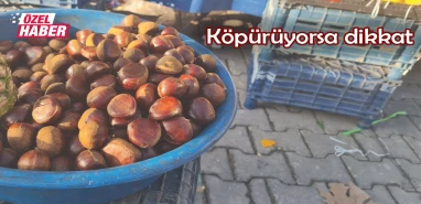 Şanlıurfa’da kestane tehlikesi! Bunları yiyen hastanelik oluyor