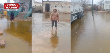 Şanlıurfa’da yerleşim yeri sular altında! Su baskını mağdurları tepkili