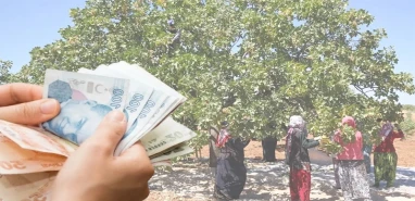 Şanlıurfa listede yok! Gaziantep’te ücretler belli oldu