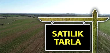 Şanlıurfa’da yatırımcılar için kaçırılmayacak fırsat: İcradan satılık tarla