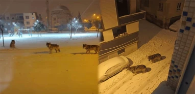 Bir bu eksikti! Digital manipülasyona dikkat...