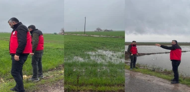 Şanlıurfa’da yağış mağduru çiftçiye destek! Ekipler sahada