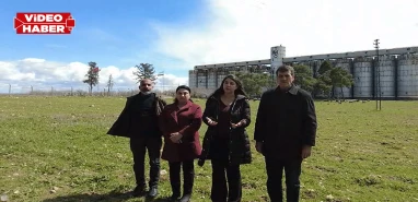 Şanlıurfa’da TMO kararı tartışma yarattı! “Çiftçimiz bir kez daha mağdur edilmiştir”