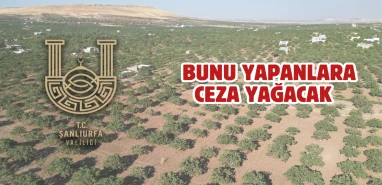 Şanlıurfa Valiliği uyardı! 1 Nisan’dan itibaren yasak