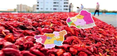 Şanlıurfa ve Diyarbakır’ın 2024 ihracat rakamları belli oldu!