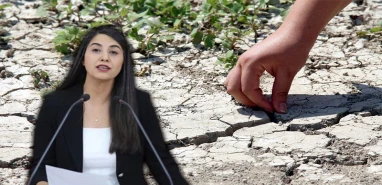 Şanlıurfa vekili kuruyan ekinleri şikayet etti!