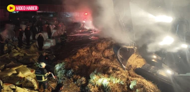 Eyyübiye'de çiftlik yangınına 9 araç ve 30 personel müdahale etti