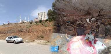 Şanlıurfa’da havalar ısındı, tehlike ortaya çıktı! Son anda çocuklar fark etti