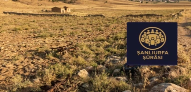 Şanlıurfa'nın kayıp hazinesi! Taşın altında servet yatıyor