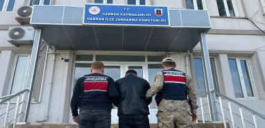 Şanlıurfa’da 13 yıl cezası vardı! Jandarmadan kaçamadı