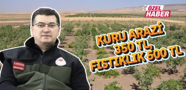 Şanlıurfa'da 650 bin dekar arazi kiralanacak! Süreci İl Müdürü Aksoy anlattı