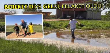 Şanlıurfa’da akılalmaz manzara: Evlerin ortasında gölet oluştu!