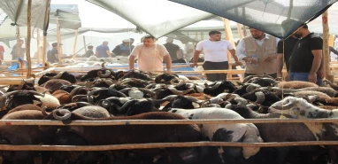 Şanlıurfa’da alıcı da satıcı da terletti!