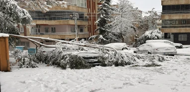Şanlıurfa’da aracını buralara park edenler bin pişman!