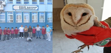 Sınıfa sığındı, hayata tutundu: Şanlıurfa’da baykuşun mucizevi kurtuluşu