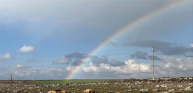 Günün en güzel karesi: Şanlıurfa'da ‘bereketin müjdecisi’ belirdi!