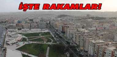 Şanlıurfa’da bu alanda rakip tanımıyor: Dernek sayısı şoke edecek!