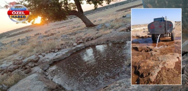 Şanlıurfa’da bu fedakarlık herkese örnek olmalı!