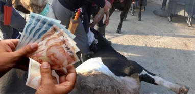 Şanlıurfa'da bugün paraya para demediler! Randevu alan şanslı
