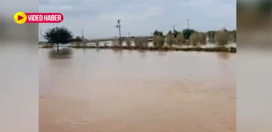 Şanlıurfa’da büyük felaket: Ekinler sular altında