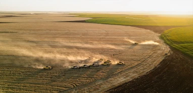 Şanlıurfa’da çiftçilerin gözdesi olacak! İşte kuraklığa dayanaklı 12 ürün