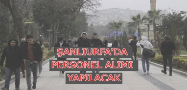 Şanlıurfa’da devlet binlerce personel alacak! Başvuru için son saatler