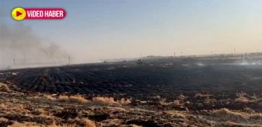 Şanlıurfa'da ekinler cayır cayır yanıyor! Yetkililer farkında mı acaba?
