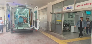 Şanlıurfa’da fıstık bahçesinde dehşeti yaşadı! Hastanelik oldu