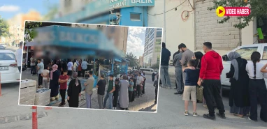 Şanlıurfa’da ‘hamsi’ izdihamı! Fiyatı duyan oraya koştu, metrelerce kuyruk...