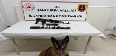 Şanlıurfa'da hassas burunlu köpek devreye girdi! Gözaltı var