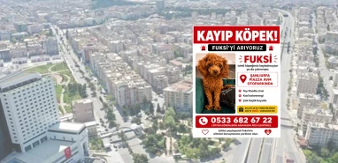 Şanlıurfa’da her yerde aranıyor! “Fuksi”yi bulana ödül verecekler
