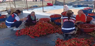 Şanlıurfa'da kadına şiddete karşı büyük hareket