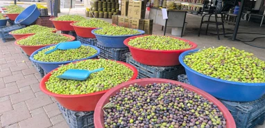 Şanlıurfa’da kahvaltının tadı kaçtı! Sofranın baş tacı artık lüks oldu